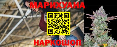 гидра Дмитров