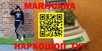 гидра Дмитров